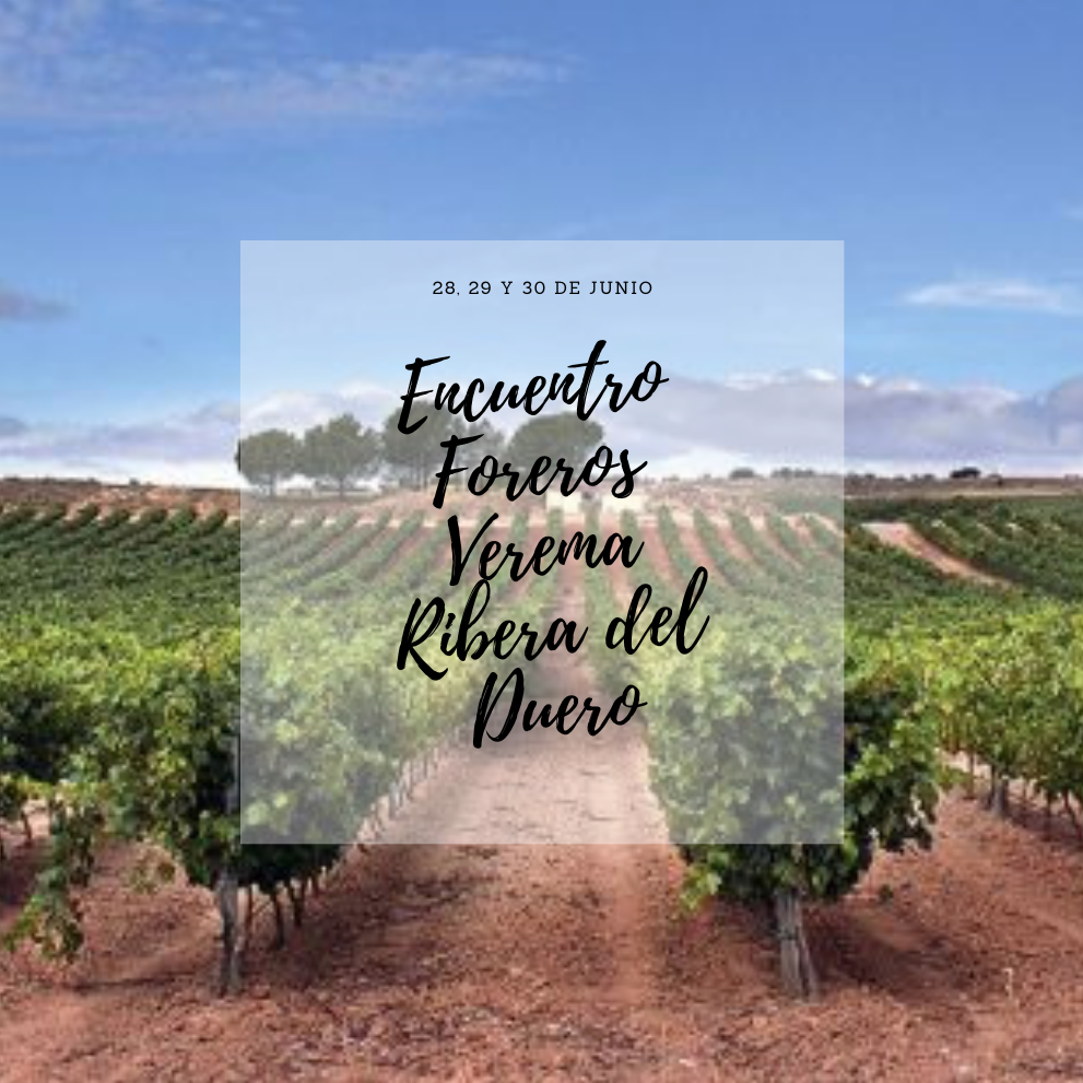 Encuentro Foreros Verema Ribera del Duero