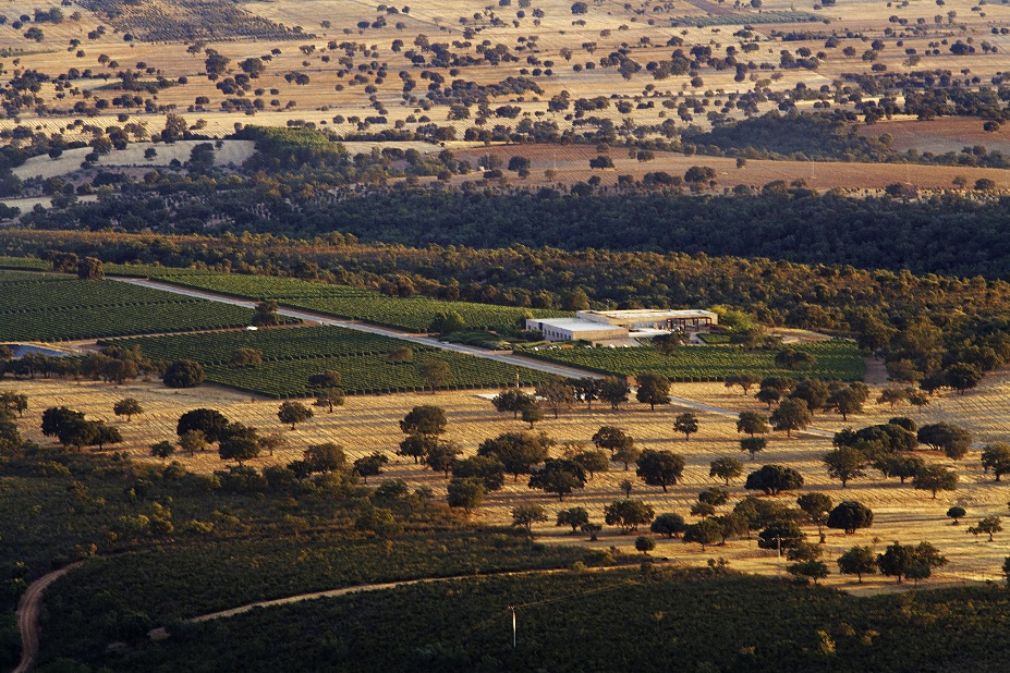 Vallegarcía obtiene su propia Denominación de Origen Protegida
