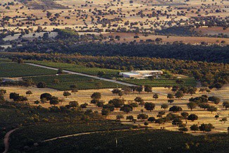 Vallegarcía obtiene su propia Denominación de Origen Protegida