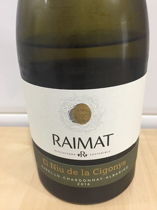 RAIMAT EL NIU DE LA CIGONYA 2016