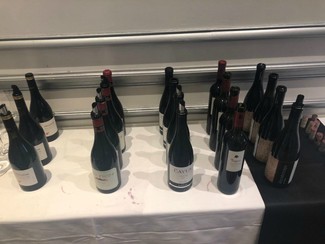 Garnachas de Campo de Borja en la Experiencia Verema Madrid 2019