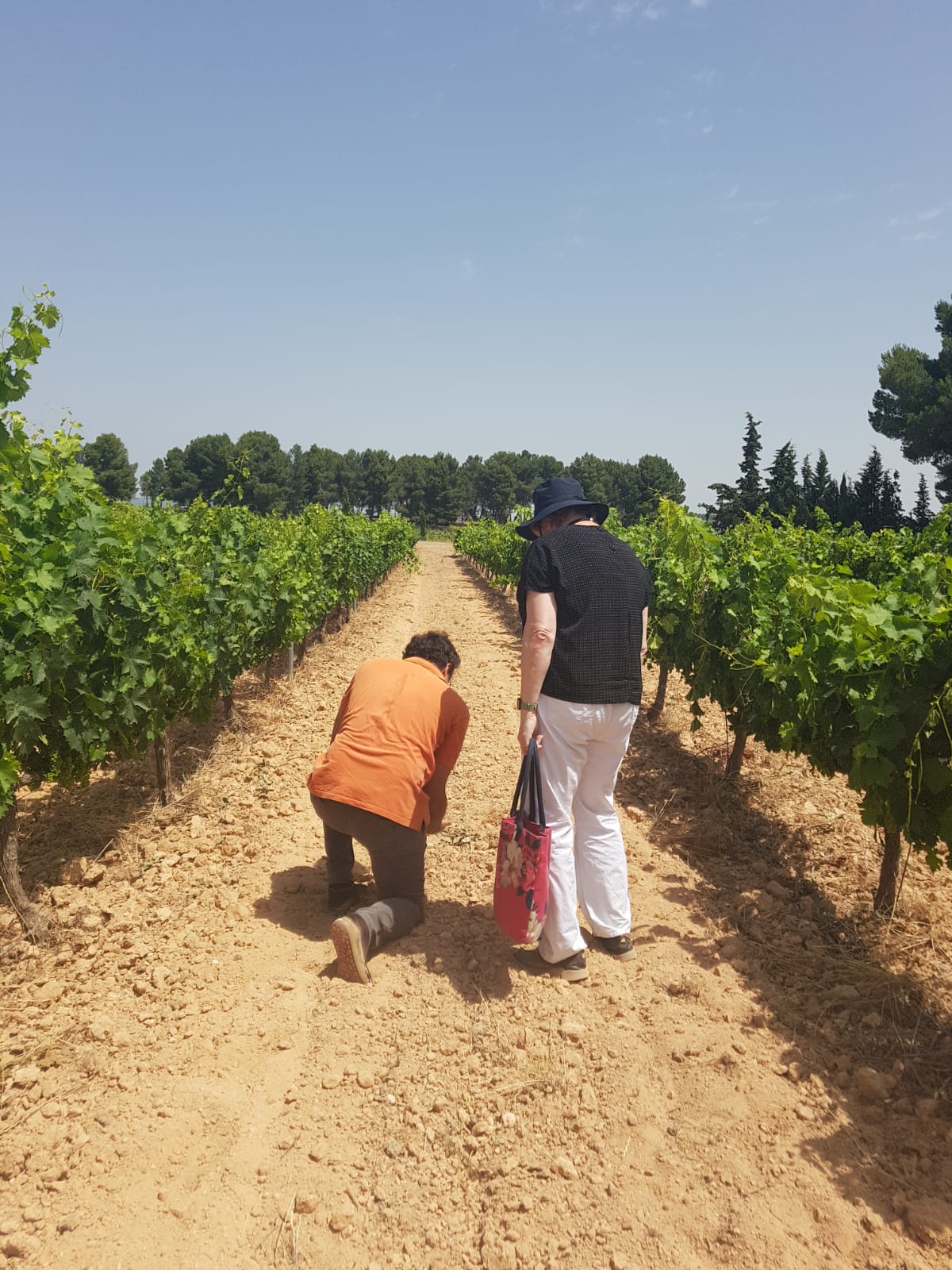 La DO Valencia seduce a la periodista, experta en vinos españoles Sarah Janes Evans