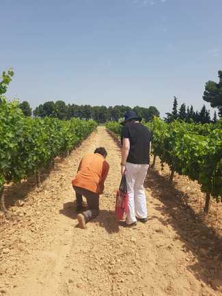 La DO Valencia seduce a la periodista, experta en vinos españoles Sarah Janes Evans