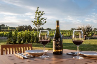 El Celleret, el nuevo espacio enogastronómico de la bodega Familia Torres en el Penedès