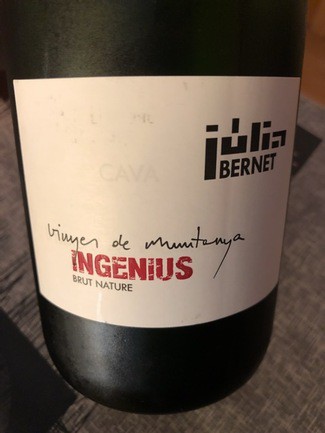 Júlia Bernet Ingenius 2018