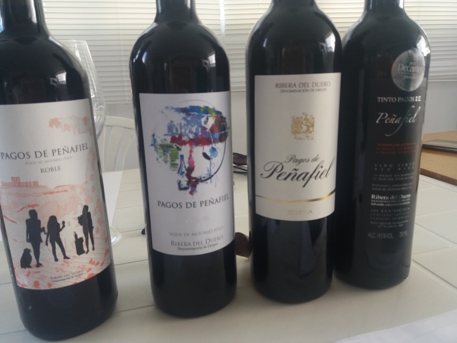 En Torno al Vino... de  Peñafiel