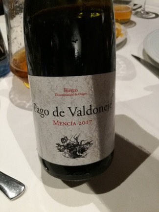 Pagos de Valdoneje Mencia 2017