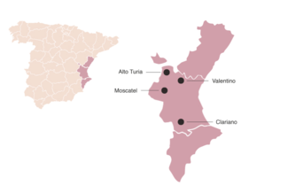 D.O.P. Valencia: luz y color