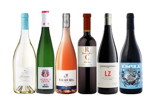 Selección de Vinos Club Verema 2019