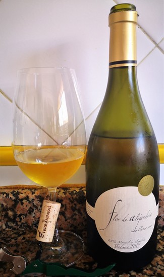 Flor de Alejandría 2017