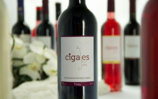 Celébralo con la D.O. Cigales