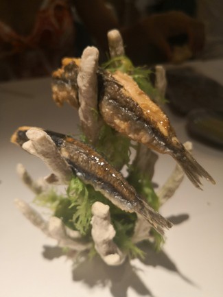 Boquerón de la luz
