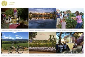 La Vendimia del Cava 2019, programa de actividades enoturísticas