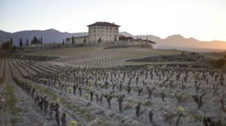 Bodega Hacienda López de Haro participará en la primera edición de Mama Festival Gastronómico