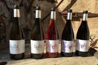 Celler Mas Bella, Masmolets existe