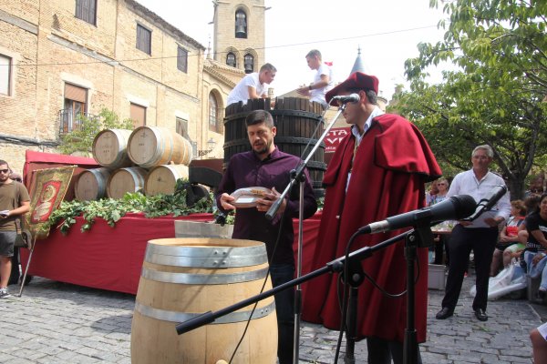 La Cofradía del Vino ha celebrado la Fiesta de la Vendimia de Navarra