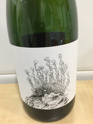 Anna Espelt Cap de Creus 2015