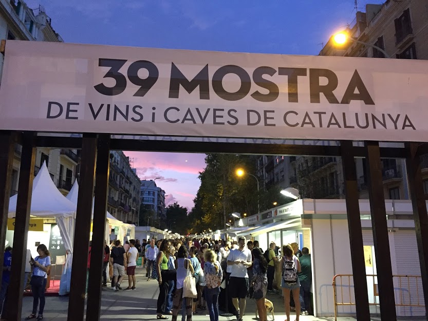 39 Mostra