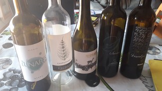 En torno al vino de  Ronda