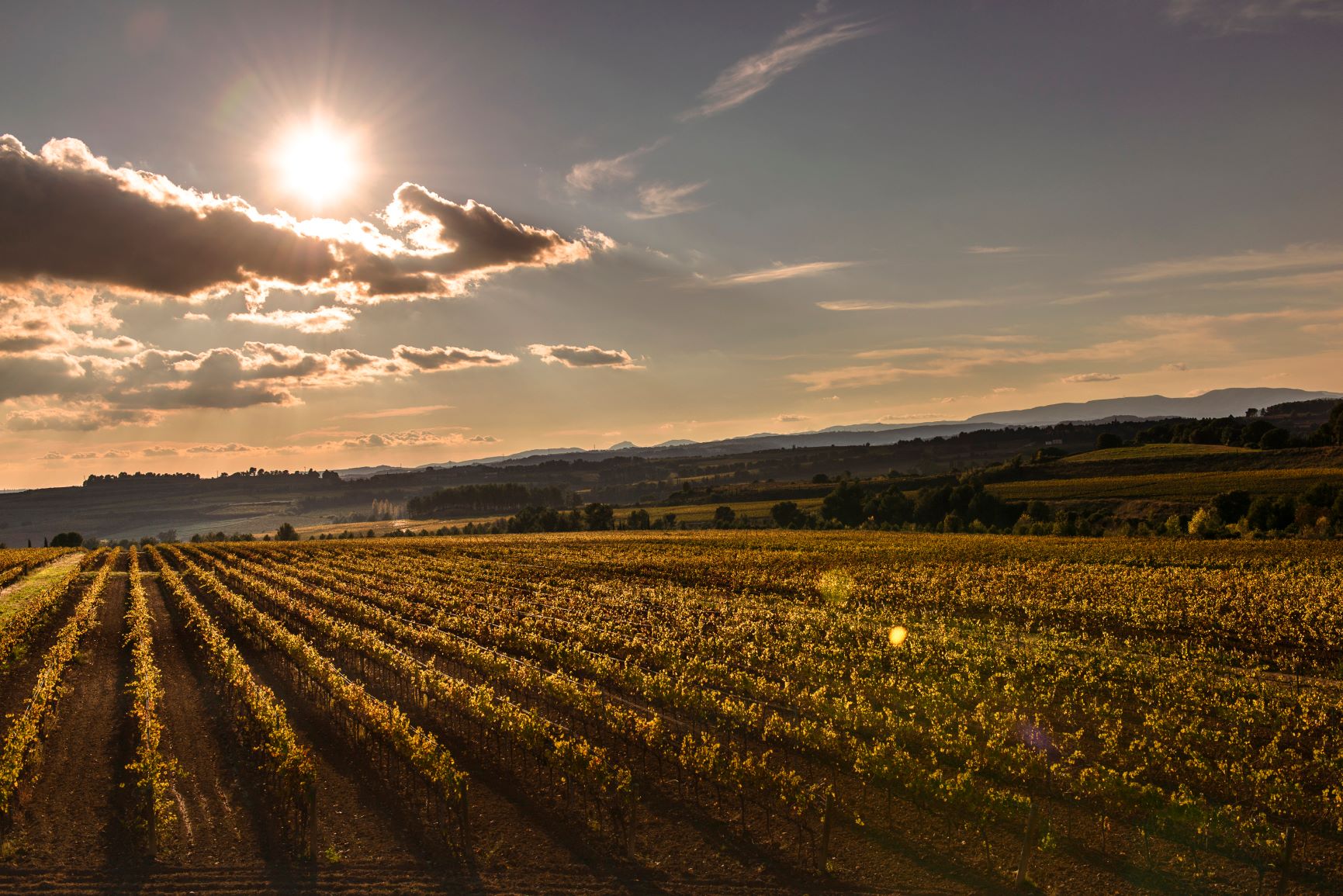 Se presenta al mercado Propietat d’Espiells, el alma de Juvé & Camps