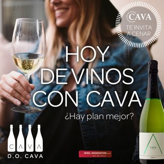 Una selección de locales trending de Madrid, Barcelona y Girona estrenan este otoño la campaña Hoy de Vinos con Cava