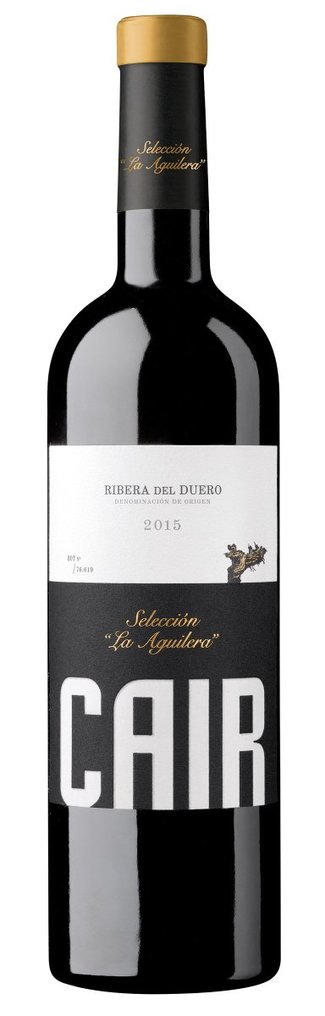 Cair Selección la Aguilera 2015
