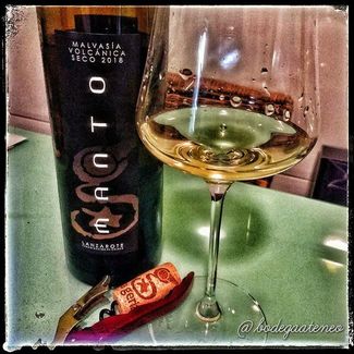 Manto Malvasía Volcánica 2018