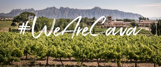 La nueva imagen del Institut del Cava da protagonismo a las bodegas