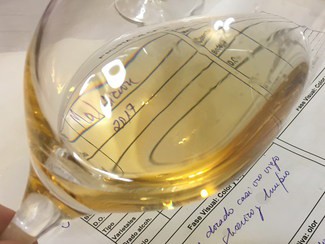 La Maldición Malvar 2017