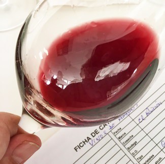 Color del vino en la copa