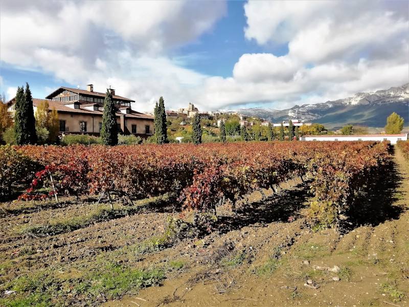 Laguardia en Alava en otoño con viñedos rojos