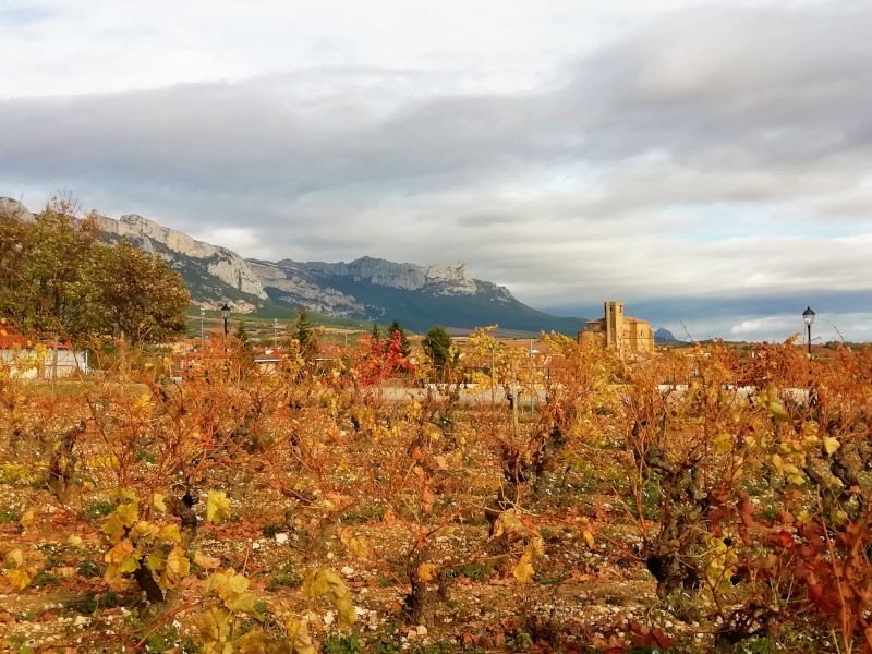 Iglesia desde Samaniego en Rioja