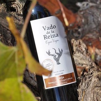 Vado de la Reina Cepa Vieja 2017