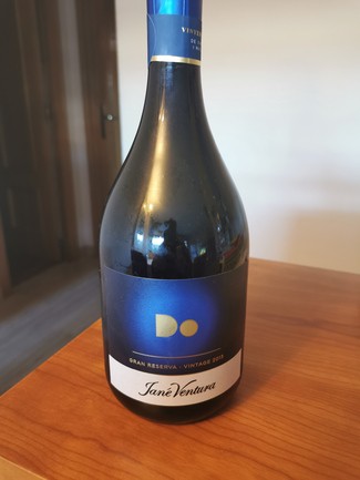 Jane Ventura DO Vintage 2013