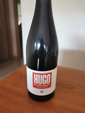 Hugo Vinyes Velles 2014