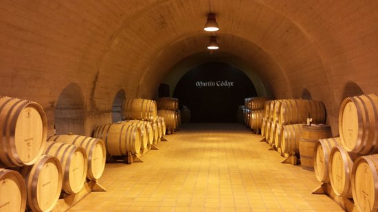 La Asociación de Periodistas elige los Mejores Vinos y Espirituosos 2019