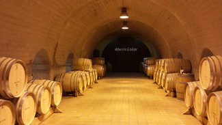 La Asociación de Periodistas elige los Mejores Vinos y Espirituosos 2019