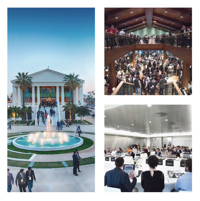 Experiencia Verema Valencia 2020