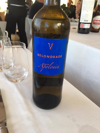 Belondrade quinta Apolonia