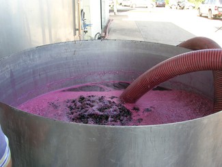 La producción de vino y mosto de la campaña 2019/2020 se sitúa en 37,2 millones de hectolitros