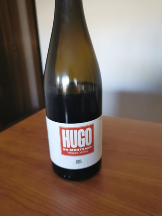 Hugo Vinyes Velles 2015