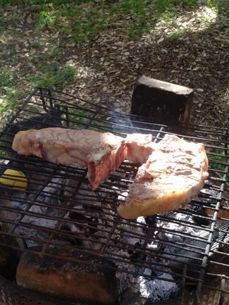 Albat elit merlot 2011