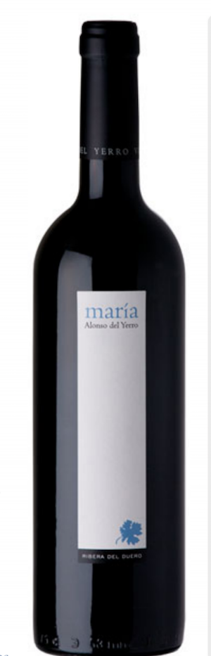 Maria Alonso del Yerro 2014