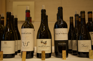 Ribera del Duero: El Poder del Terruño