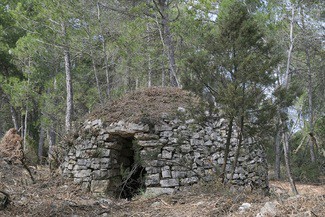 Familia Torres inicia un proyecto de viticultura ancestral en la DO Penedès