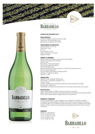 Castillo San Diego 2019: El vino blanco más vendido en nuestro país.