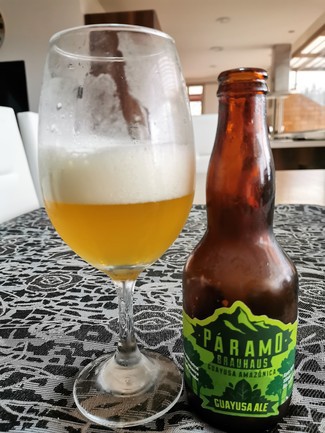 Páramo Brauhaus Guayusa Ale