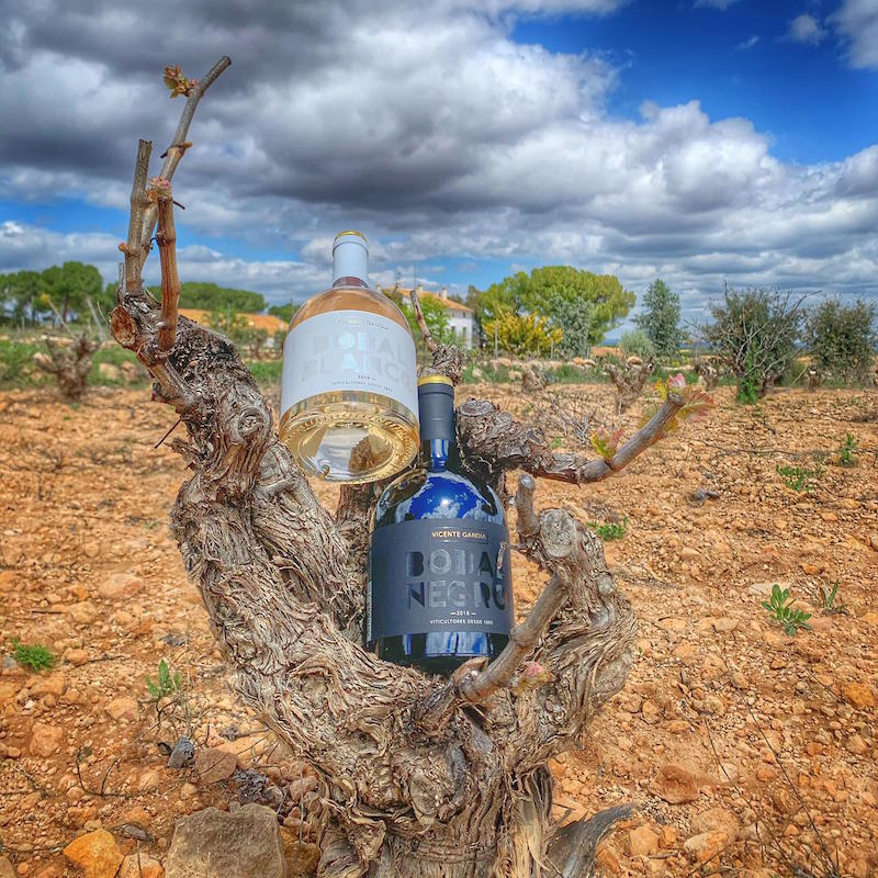 Vicente Gandía innova con la variedad bobal, de la mano de Pepe Hidalgo