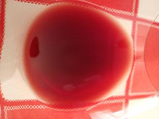 Puerta Vieja Crianza 2007, DO Ca Rioja