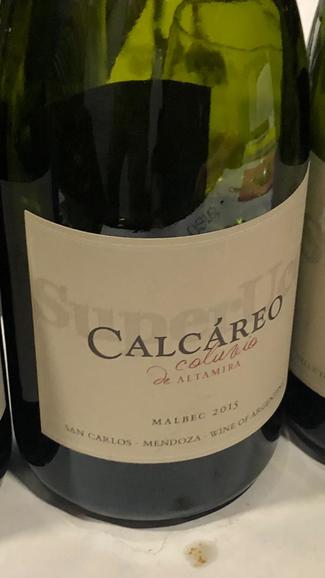 Calcareo Coluvio de Altamira Malbec 2015